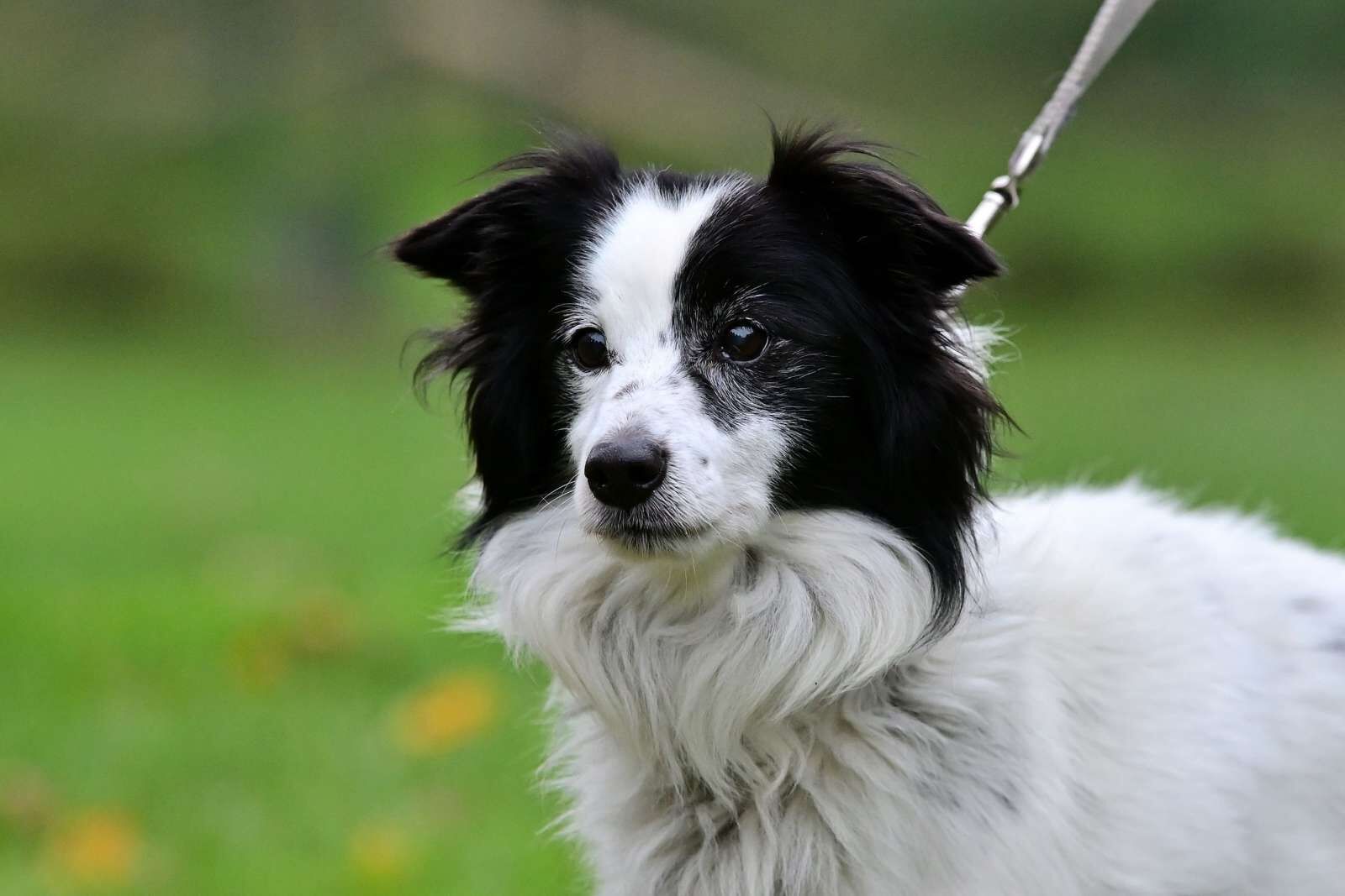 utulek 11 2025male--122 (1)